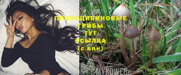 стафф Баксан